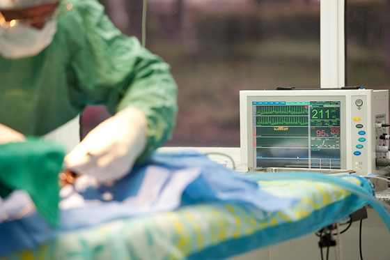 Tierärztin am OP-Tisch, daneben ein Überwachungsmonitor